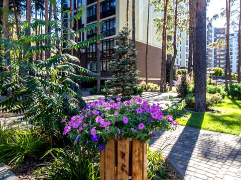 квартира по адресу Радистов ул., 34-К2