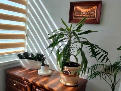 квартира за адресою Урлівська вул., 23