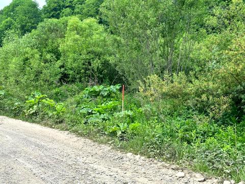 ділянка за адресою 