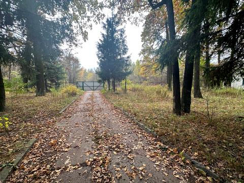 комерційна за адресою лесна, 22
