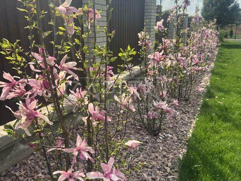 дом по адресу Соборная ул.