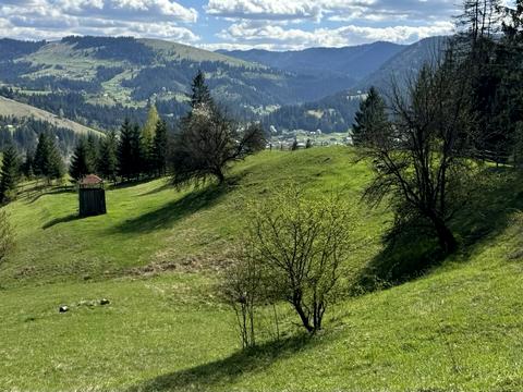 участок по адресу пгт. Верховина, присілок Бречник