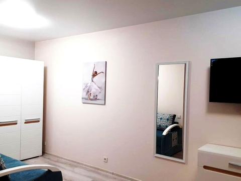 квартира по адресу Елизаветинская ул., 1