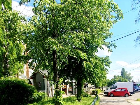 комерційна за адресою Авіаконструктора Антонова вул., 4а