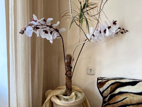 квартира по адресу Старокиевский пер., 1/3