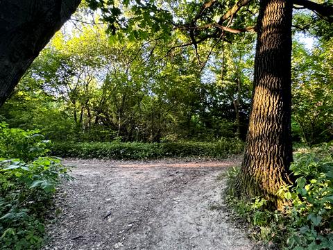 ділянка за адресою Львів, Ланова вул.