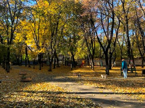 квартира за адресою Ґарета Джонса вул. (Сім'ї Хохлових), 6-Б