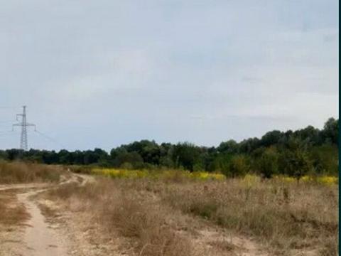 участок по адресу Струмковий провулок, 10
