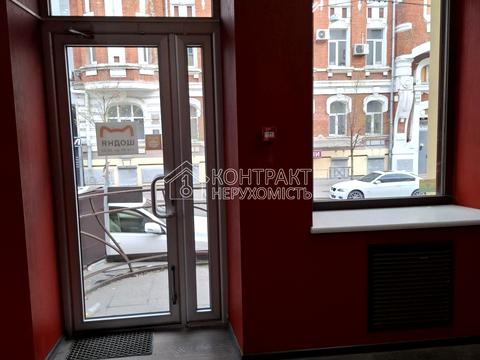 коммерческая по адресу Григория Сковороды ул. (Пушкинская), 35