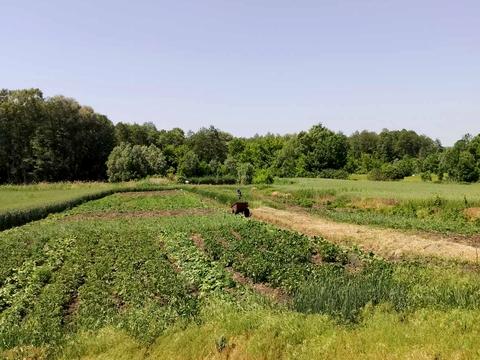будинок за адресою с. Мельникове, Квітнева