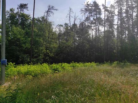 ділянка за адресою Котляревського