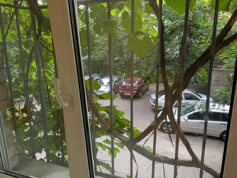комерційна за адресою Кропивницького вул., 18