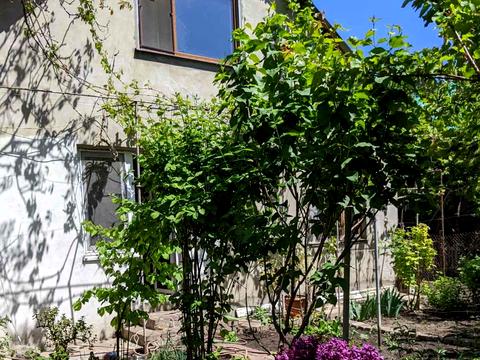 будинок за адресою Анатолія Бачинського вул.