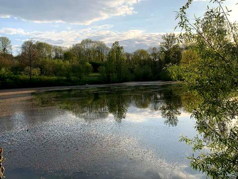 будинок за адресою Пасічна, 13