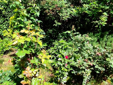 будинок за адресою Олександрівська