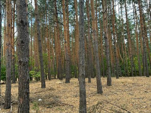участок по адресу Тарасовка