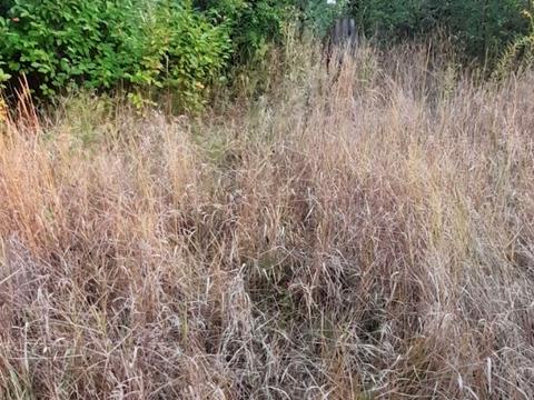 ділянка за адресою Соколовський масив