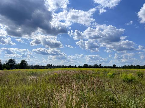 ділянка за адресою Чернинська вул., 1