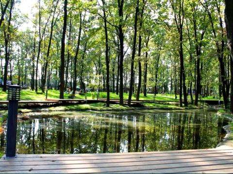 квартира за адресою Садовая, 51в