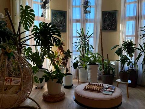 квартира за адресою Шовковична вул., 22