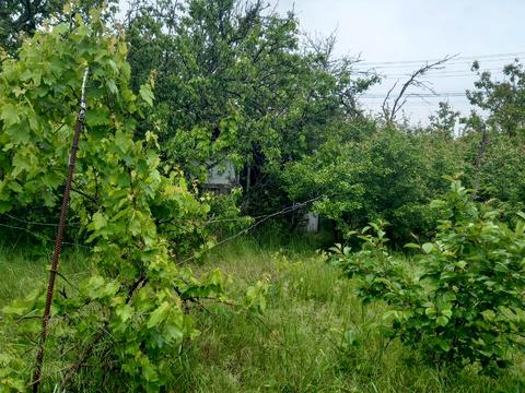 дом по адресу с. Алтестово, Лесная