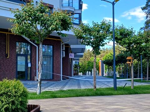 комерційна за адресою вул. Прорізна, 1