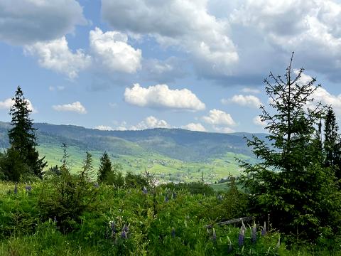 участок по адресу с. Волосянка, 