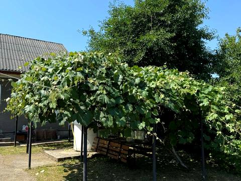 будинок за адресою с. Михальча, Українська, 12