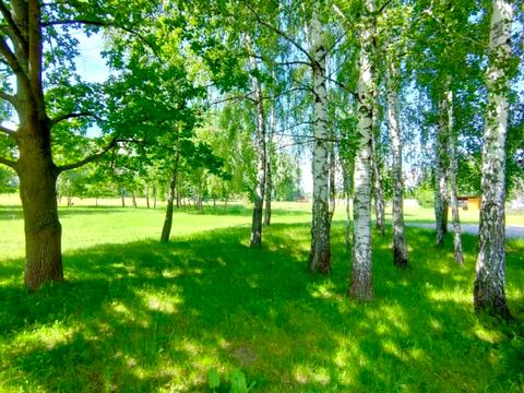 ділянка за адресою Центральна вул.