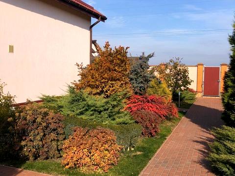 будинок за адресою Лесі Українки