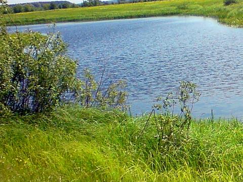 участок по адресу 