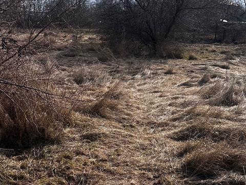 ділянка за адресою Дачна вул.