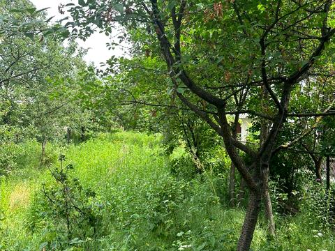 участок по адресу Ботаническая ул.