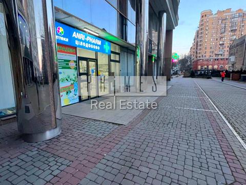 комерційна за адресою Жилянська вул., 59