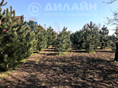 комерційна за адресою Чапаева, 47