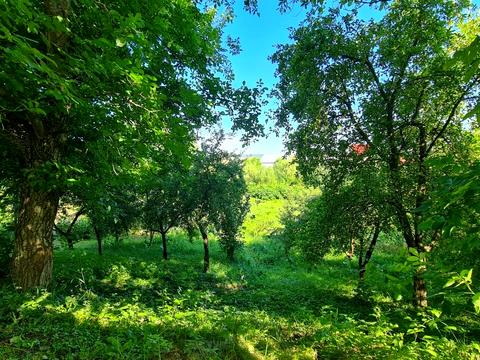 дом по адресу 22-го Января ул.
