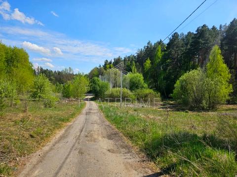 участок по адресу Сологуба ул., 60