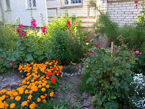 квартира за адресою Академіка Янгеля вул. (Фрунзе), 58