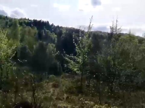 ділянка за адресою Шевченка