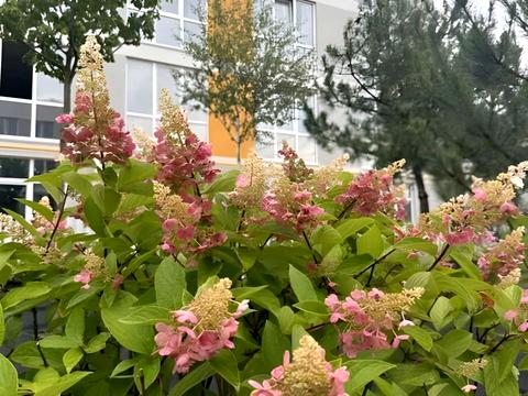 квартира за адресою Гідності вул., 7