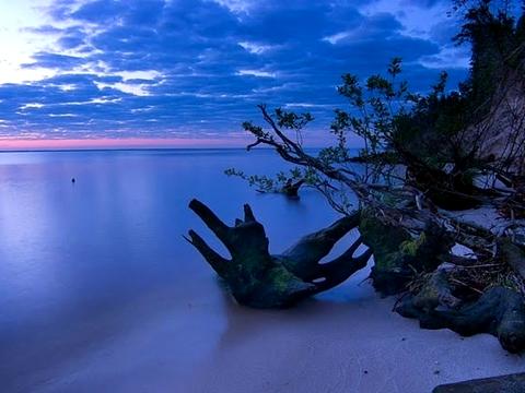 квартира по адресу Даниила Щербаковского ул. (Щербакова), 52