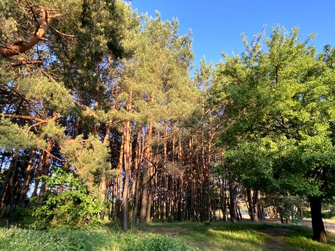 будинок за адресою Садова вул.