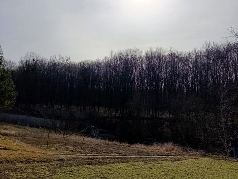 ділянка за адресою Тупік Синьоводського
