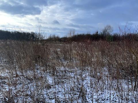 участок по адресу старе село
