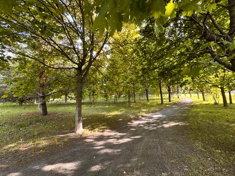 будинок за адресою с. Бобриця, Паркова