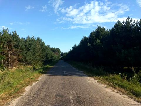 ділянка за адресою Гайова, 42