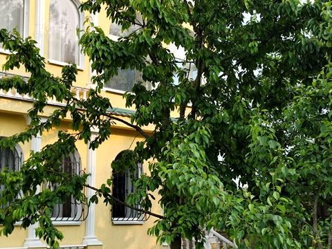 будинок за адресою СТ Заліське