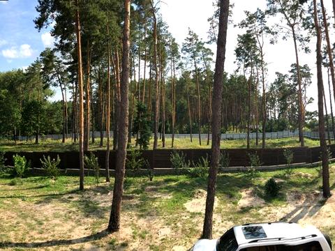 участок по адресу Петровского