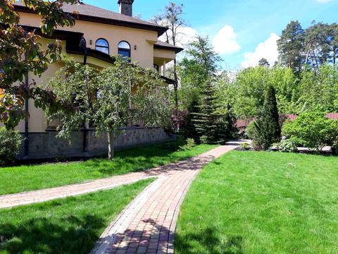 дом по адресу Соснова, 38а