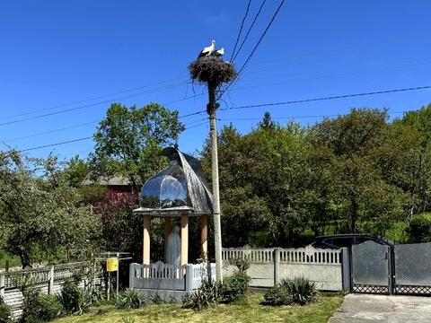 дом по адресу Лісова, 19